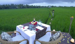 Rice Field Private Dining